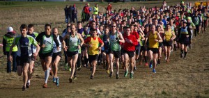 DSC_0508 Massed start